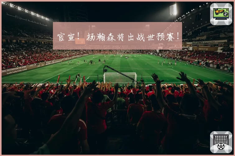 官宣！杨瀚森将出战世预赛！