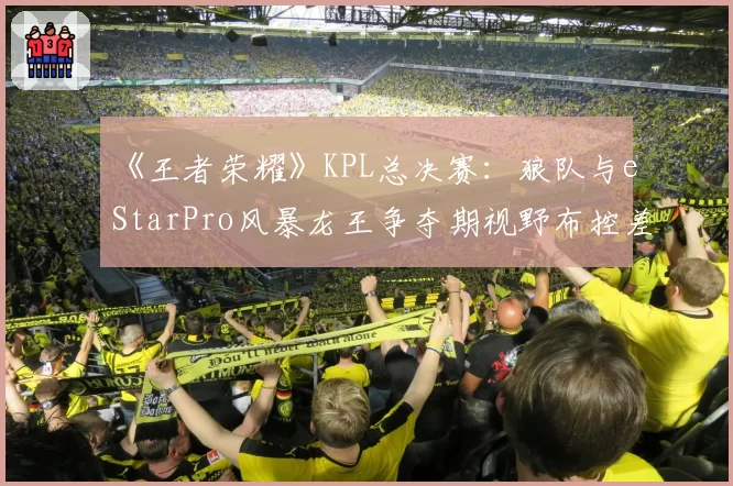 《王者荣耀》KPL总决赛：狼队与eStarPro风暴龙王争夺期视野布控差异解析