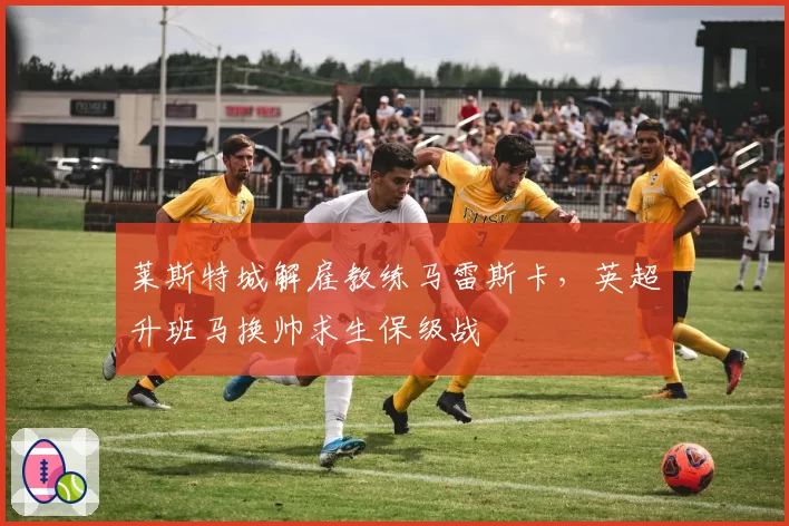 莱斯特城解雇教练马雷斯卡,英超升班马换帅求生保级战